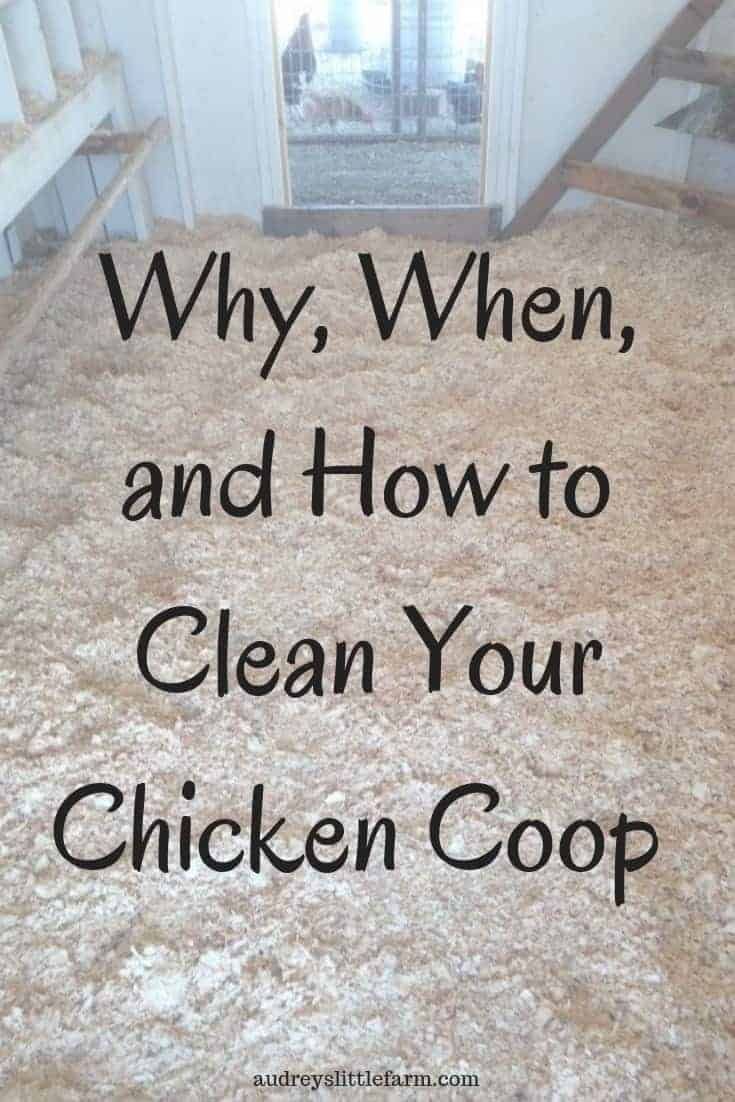 How to Clean Your Chicken Coop - Audrey's Little Farm