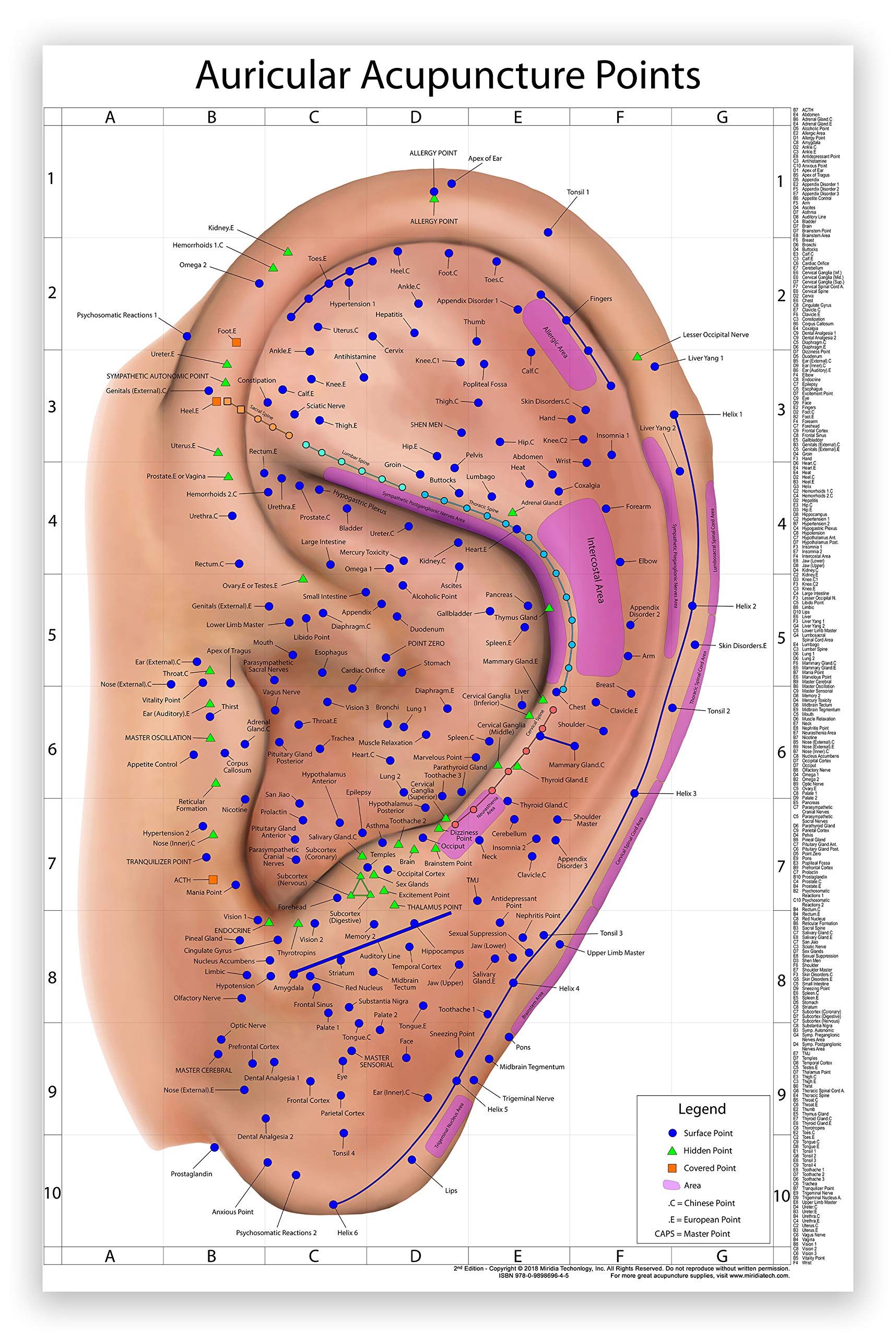 The World’s Best Auriculotherapy Wall Chart - New and Improved Version 2